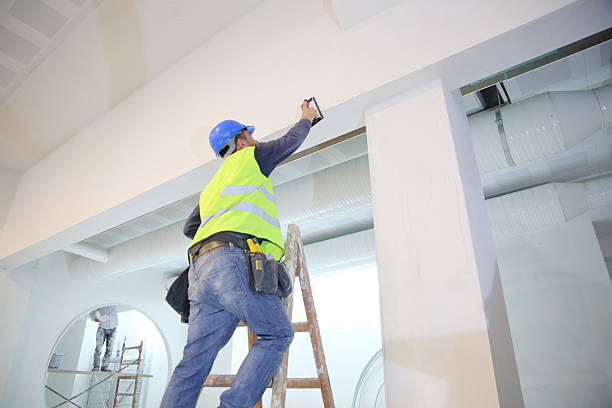 Best Emergency Mold Remediation  in South Gate Ridge, FL